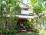 Back of Property